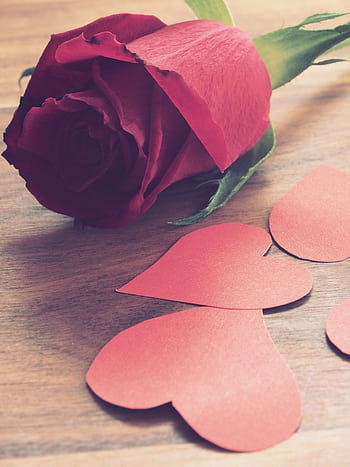 Close-up of a red rose with heart-shaped cutouts symbolizing love and romance on a wooden background. HD phone wallpaper