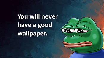 Real Story, funny, typography HD wallpaper