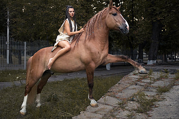 Christina Riding Horse, Riding, Horse, Christina, Animal HD wallpaper