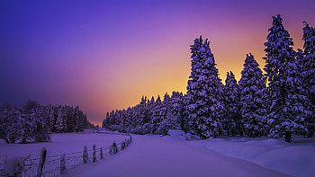 Winter in Basque Country, Spain, sky, snow, trees, landscape, colors, sunset HD wallpaper