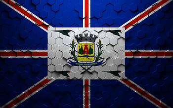 Flag of Araguari, honeycomb art, Araguari hexagons flag, Araguari, 3d hexagons art, Araguari flag HD wallpaper