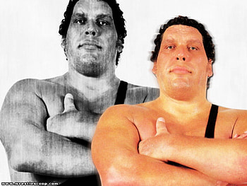 Andre The Giant, other, wrestler, entertainment HD wallpaper