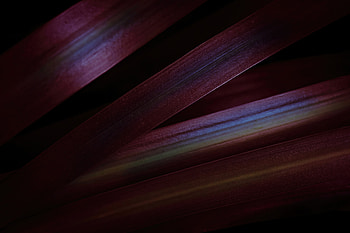 Abstract Purple , abstract, artist, artwork, digital-art, behance HD wallpaper