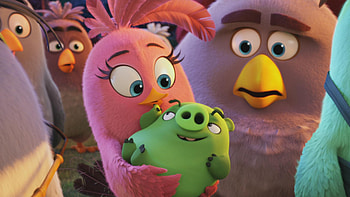 The Angry Birds Animated Movie, angry-birds, birds, movies, animated-movies, 2016-movies, the-angry-birds-movie HD wallpaper