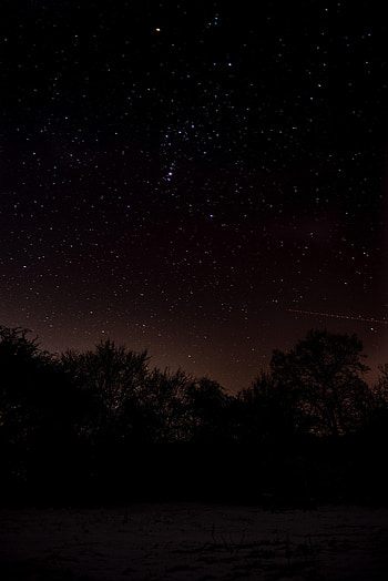 Nature, Trees, Stars, Night, Starry Sky HD phone wallpaper
