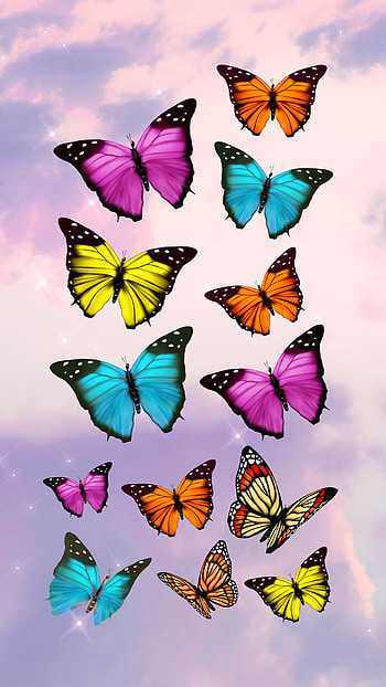 colorful butterfly, aesthetic, girly, butterflies, morpho, girls, cute, flying butterfly HD phone wallpaper