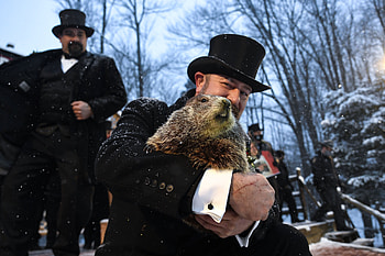 Groundhog Day 2022, Groundhog Day HD wallpaper