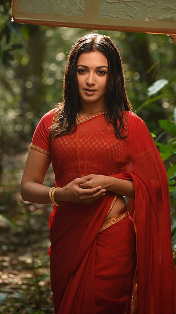 Caterina tresa q, saree lover, multilingual actress HD phone wallpaper