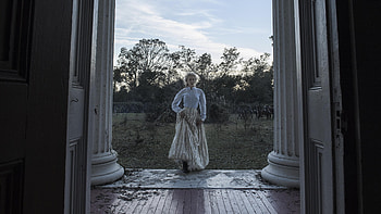 Sofia Coppola, Beguiled, Drama film, Release date HD wallpaper