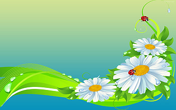 de pantalla flores coloridas Gratis nes HD wallpaper