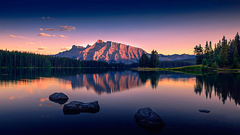 2560X1440 Nature HD wallpaper