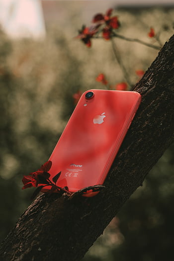 Red smart placed against a tree amidst vibrant flowers in an outdoor setting. HD phone wallpaper