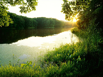 Landscape, Nature HD wallpaper