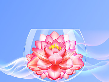 In The Glass, glass, pink, flower, water lily HD wallpaper