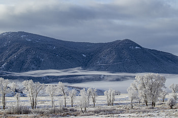 Winter, Nature, Trees, Clouds, Snow, Mountain HD wallpaper