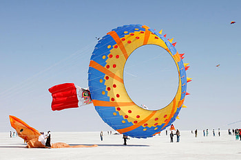 Kite Flying, Rannutsav Kites Festival HD wallpaper