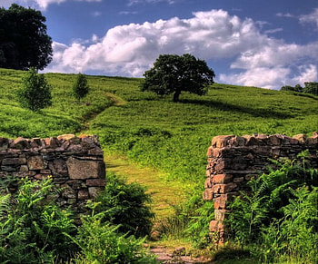 path, walls, field, clouds, trees, sky, grass HD wallpaper