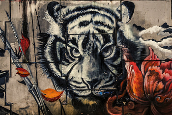 Tiger on the wall, animal, black, tiger, art, wall, orange, draw HD wallpaper