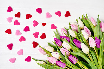 Heart, shapes, flowers, pink tulips HD wallpaper