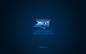 Hyderabad Skykings, Indian american football club, blue logo, blue carbon fiber background, EFLI, american football, Elite Football League of India, Hyderabad, India, Hyderabad Skykings logo HD wallpaper
