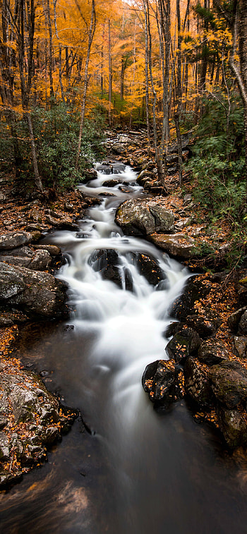 River , Water flows gracefully, Nature's immersive beauty, Mobile serenity HD phone wallpaper