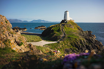 Nature, Sea, Building, Coast, Path, Lighthouse HD wallpaper