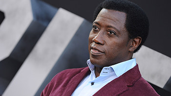 Wesley Snipes Movies, Celebrity , Actor's wide shot, Hollywood icon HD wallpaper
