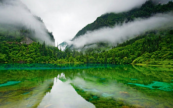 Natures green, nature, lake, green, mountain HD wallpaper
