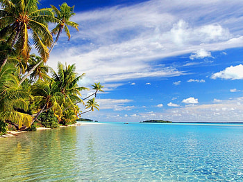 Beautiful beach, Sand green palm, Clear sea water, Tropical paradise HD wallpaper