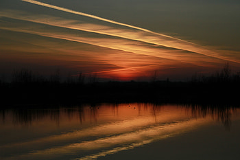 Yellow sunset, reflections, silhouette, minimal, blur HD wallpaper