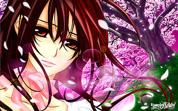 Yuuki Kurosu, vampire knight, anime, kurosu, cherry blossom, girl, yuuki, spring HD wallpaper