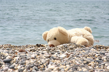 Stones, Sea, Shore, Bank, Miscellanea, Miscellaneous, Bear, Soft Toy HD wallpaper