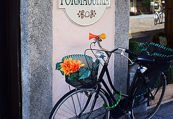 Flowers, Miscellanea, Miscellaneous, Basket, Bicycle HD wallpaper