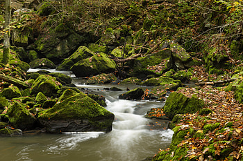 Landscape, Nature, Rivers, Stones, Rocks, Moss HD wallpaper