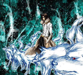 Stark Los Lobos, stark, eyepatch, lilinette, bleach, anime, one, primera, espada, gun, 1, wolfs HD wallpaper