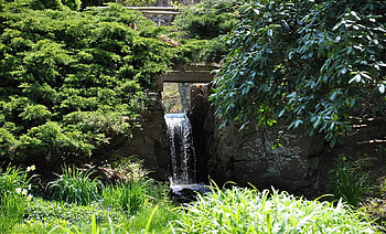 Small Waterfall, cape cod, bushes, waterfall, water, foliage HD wallpaper