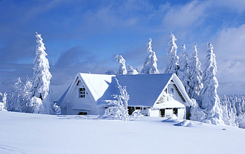 ✰WHITE HOUSE✰, blue, covered, awesome, wonderful, snow, bright, Happy, shine, White house, trees, amazing, Holidays, sun, white trees, beautiful, seasons, travels, Winter, Houses, lights, clouds, sky, lovely, splendor, ice HD wallpaper