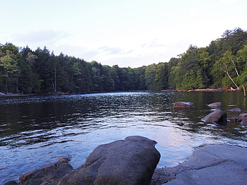 The Other Side Of Eels Lake, graphy, Rocks, Eels Lake, Forest, Trees, Nature, Sky HD wallpaper
