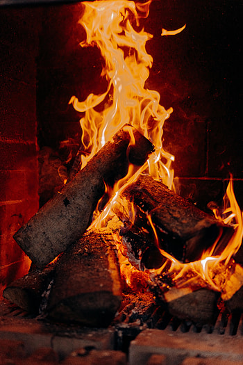 Wood fire, close up HD phone wallpaper