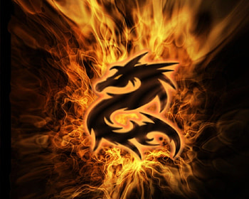 Fire Dragon, dragon, fire, flames HD wallpaper