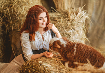 :), model, barn, cowgirl, diana lipkina, hay, girl, redhead, lamb, woman HD wallpaper
