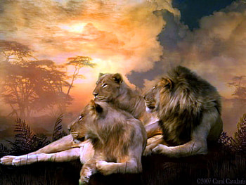 Family pride, painting, clouds, male, lions, lioness, sunset, rock HD wallpaper