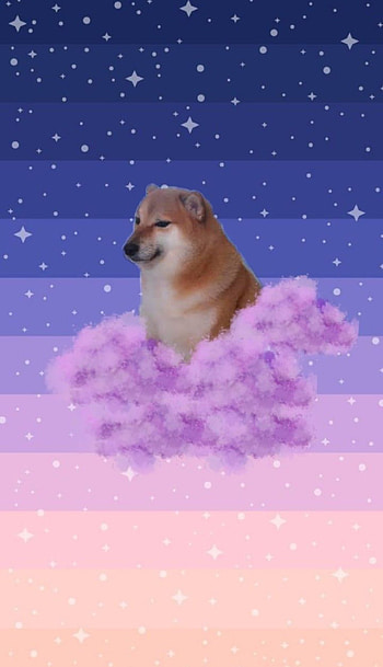 perro chems, meme HD phone wallpaper