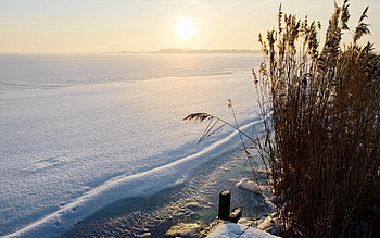 Winter, Nature, Snow, Bush, Lake, Shore, Bank, Sleep, Dream, Cover HD wallpaper