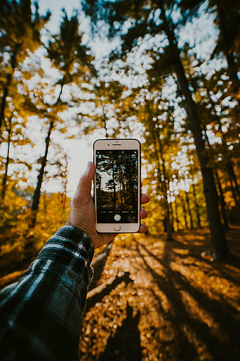 Nature, Hand, Miscellanea, Miscellaneous, Tele HD phone wallpaper