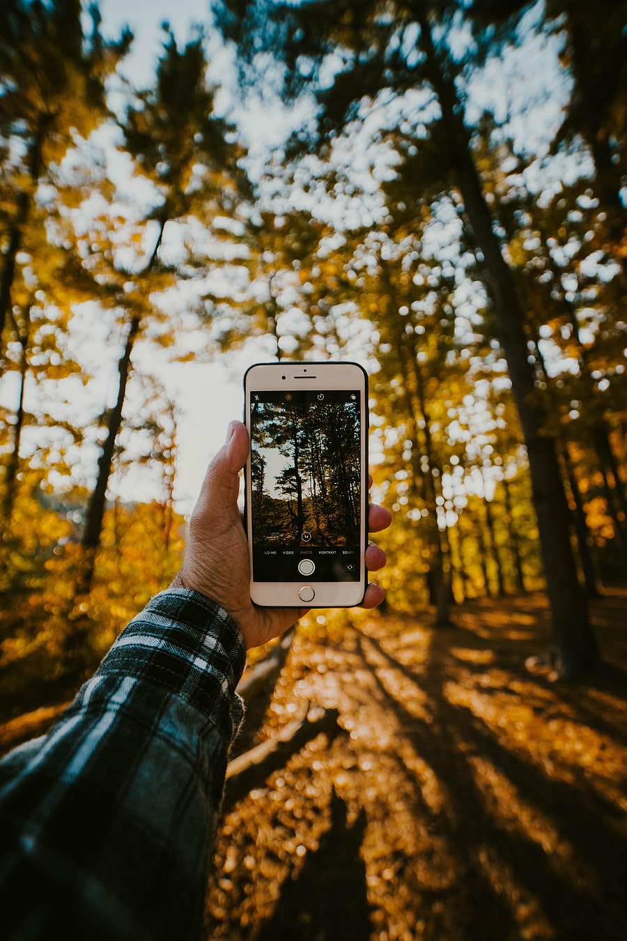 Nature, Hand, Miscellanea, Miscellaneous, Tele HD phone wallpaper
