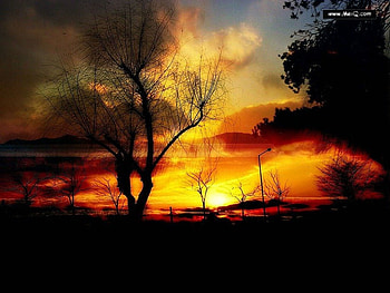 Orange Sunset, clouds, sky, silhouette trees HD wallpaper