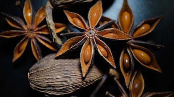 Essential oil therapy, Sweet anise oil, Relaxation aid, Aromatherapy solution HD wallpaper