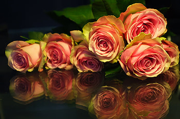 roses, bouquet, graphy, beautiful, nice, rose, flower, cool, flowers, , harmony HD wallpaper