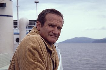 Insomnia, Robin Williams HD wallpaper